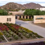 Custom community entrance with unique entrance sign, organized planting and water features.