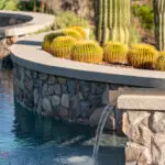 Custom backyard design with curved pool, scupper water feature and cacti.