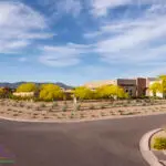 Custom desert landscape design with organized planting and trees.