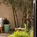 Custom faucet water feature with trees, plants and ceramic planters.
