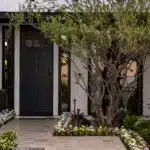 Custom front entryway with organized planting, natural stone pathway and large tree.