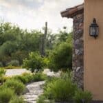 Front yard design with plants and cactus.