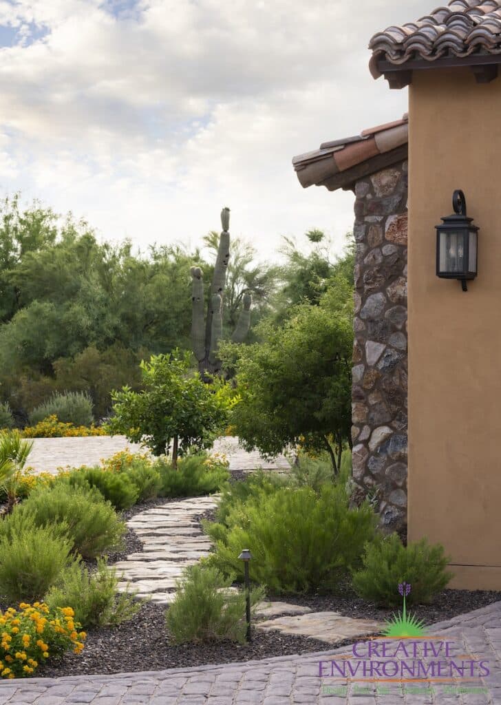 Front yard design with plants and cactus.