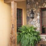 Backyard design with small tree.