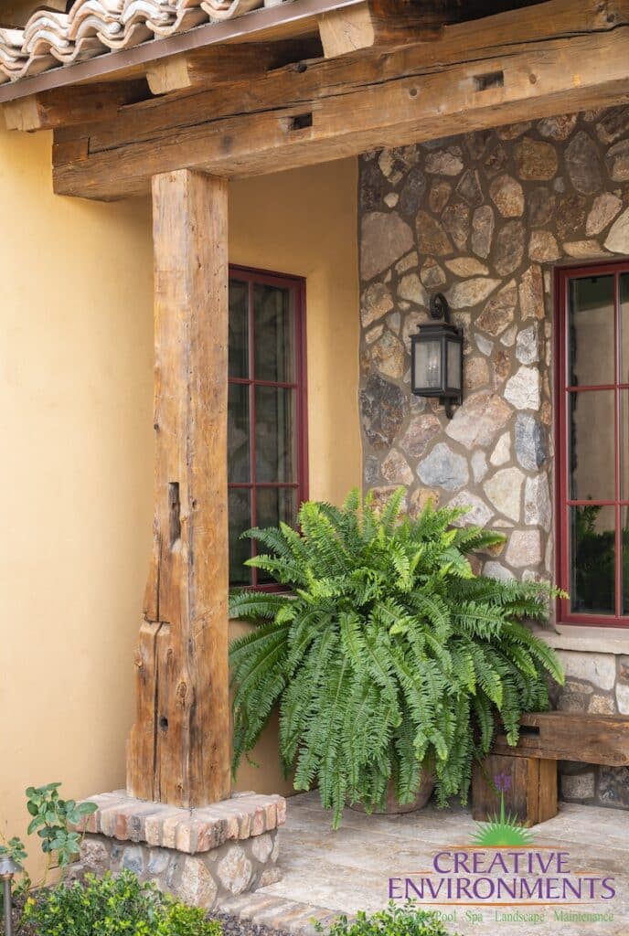 Backyard design with small tree.