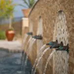 Custom backyard design with metal scupper water feature into unique-shaped pool with tile backsplash.