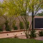 Custom backyard design with black water wall, bocce ball court and organized planting.