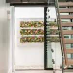 Custom succulent living wall focal point.