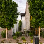 Custom front yard design with trees and organized planting.