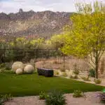 Custom backyard design with artificial turf, organized planting and artificial turf.