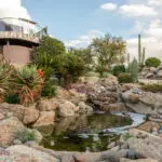Front yard design with natural stone water fall, desert plants and small pool of water.