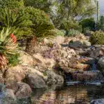 Outdoor living with natural stone waterfall, trees and cacti