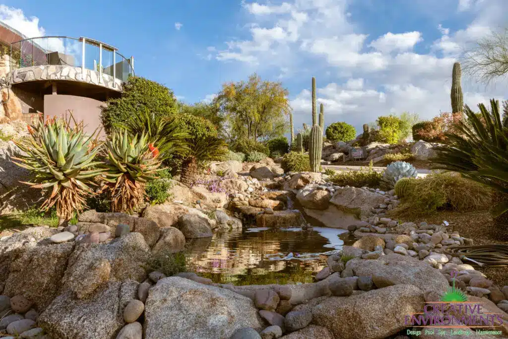 Backyard design with desert plants and small pool of water.