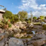 Backyard design with desert plants and small pool of water.
