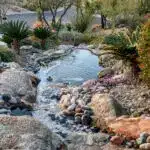 Front yard design with natural stone waterfall, trees and cacti