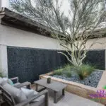 Custom front yard design with large, black water wall, large tree and desert plants.