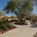 Custom backyard design with fireplace, organized planting and tree.