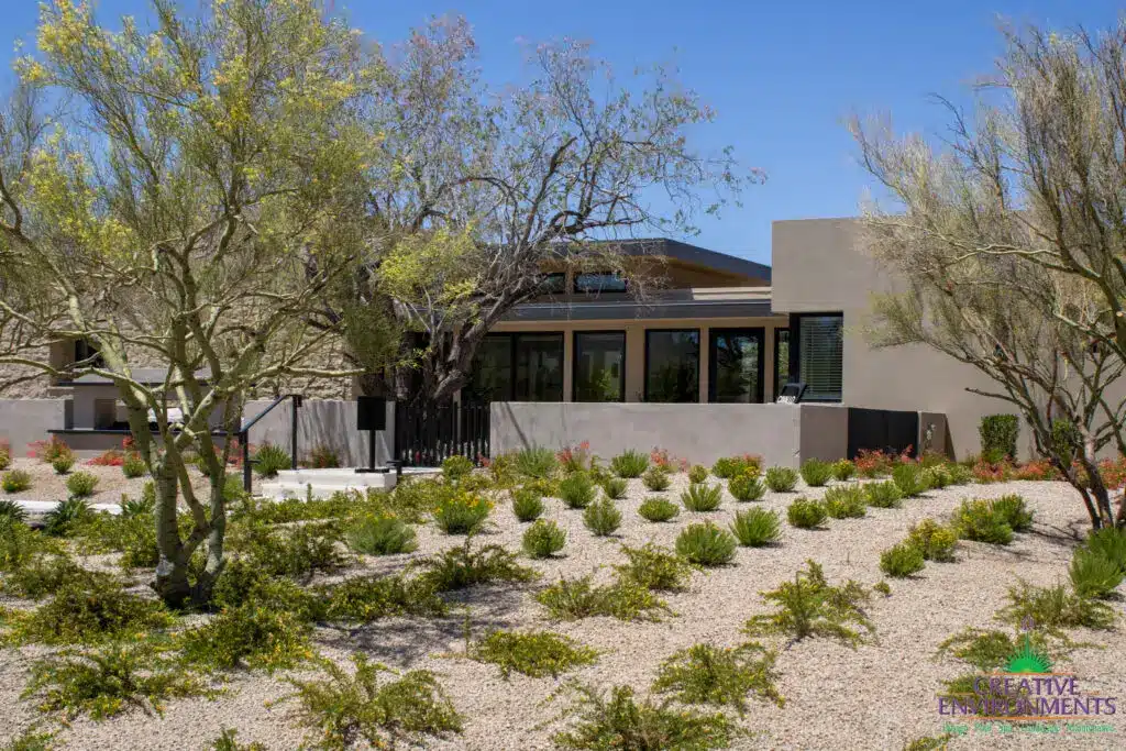 Custom front yard design with organized planting, metal gate and multiple trees.