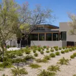 Custom front yard design with organized planting, metal gate and multiple trees.