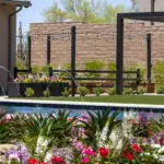 Custom backyard design with string lights, large planters and water feature into pool.