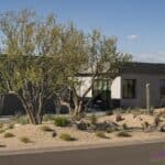 Custom front yard design with Saguaro, desert plants and brick paver walkway.