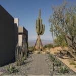 Custom front yard design with Saguaro, walkway and succulents.