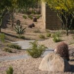 Custom backyard design with brick paver walkway, succulents and boulders.