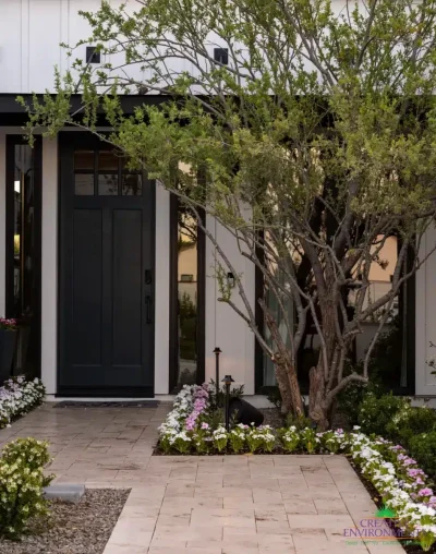 Custom front entryway with organized planting, natural stone pathway and large tree.